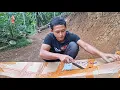 Download Lagu Hiasan Alami Yang Bermanfaat, Kedatangan Bibit Mangga Berbuah