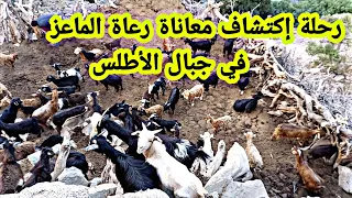 شاهد رحلة اكتشاف بعض معاناة  رعاة  الماعز في جبال الاطلس دندنها