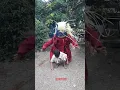 Lagu Bocil lagi mainan mau dimakan buta gembel spe #viralvideo #buto #butaijo #lucu #shotsvideo#fyp#funny