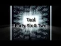 Tool Forty Six and Two