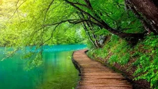 copyright free music nature video free download full hd 1080p nature videos free download