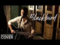 Lagu Blackbird - The Beatles (Boyce Avenue acoustic cover) on Spotify \u0026 Apple