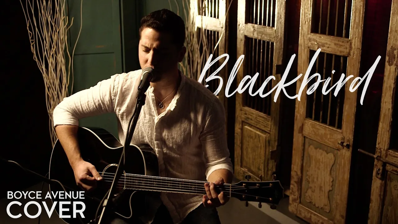 Blackbird - The Beatles (Boyce Avenue acoustic cover) on Spotify & Apple Blackbird - The Beatles (Boyce Avenue acoustic cover) on Spotify & Apple