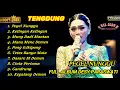 Download Lagu TENGDUNG‼️TARLING CIREBONAN TERPOPULER PEGEL NUNGGUNE FULL DESY PARASWATI
