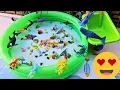 Download Lagu Meet Marine Animals! Learn Ocean Creatures with Fun Kids Music