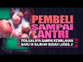 Download Lagu Dijamin Tempat Usahamu Ramai,Sampai Antri Pembeli,Pelarisan Bawang Merah 99% Berhasil
