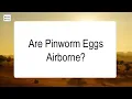 Are Pinworm Eggs Airborne