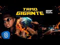Haikaiss, Major RD e Chayco - Tamo Gigante (Clipe Oficial)