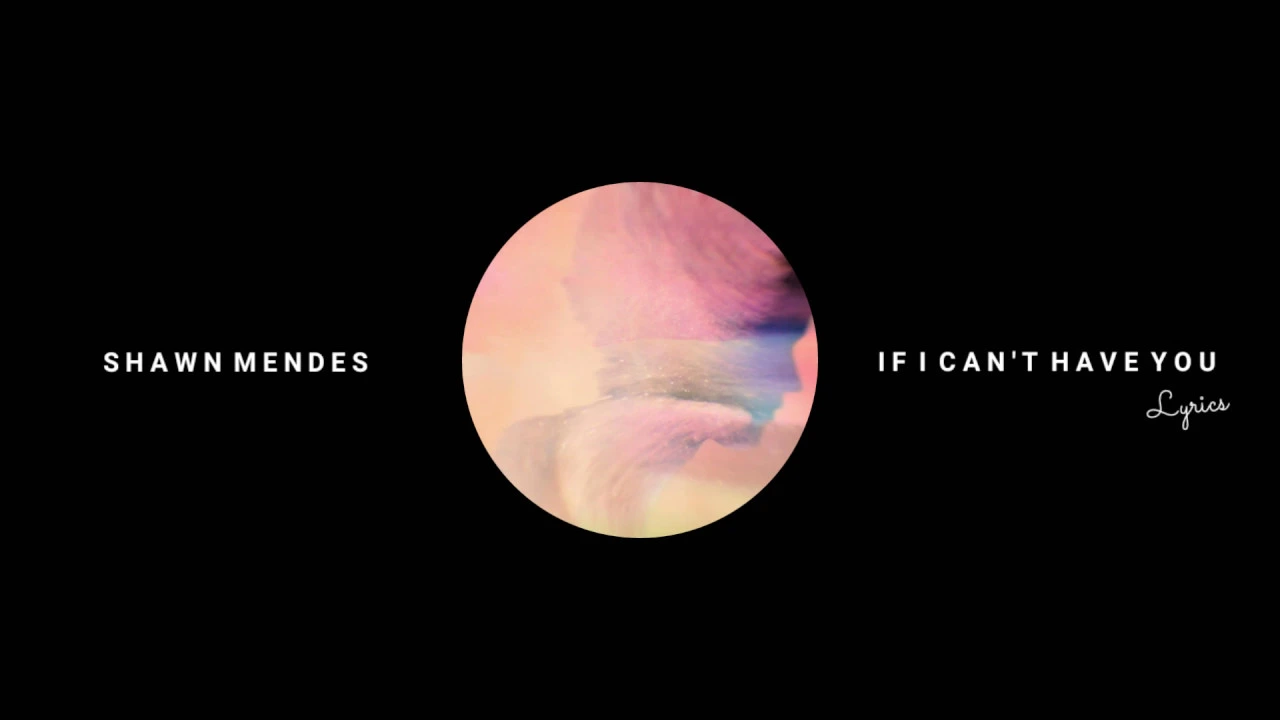 Shawn Mendes - If I Can't Have You (Lyrics Video)