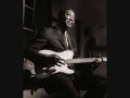 Download Lagu Muddy Waters - Rollin' Stone (Catfish Blues)