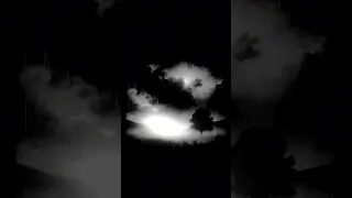 زميلي معايا في النحله 