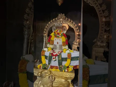 A temple where dogs are not just allowed… they are deeply respected. 🐕❤️🙏#lekigoswami #tamilnadu