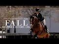 Show at WEC - Ocala This Fall