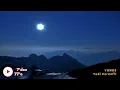 Yedi Karanfil - Yunus