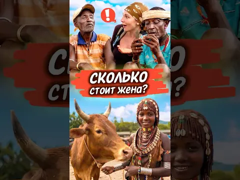 40 коров за Настюшку Опасность!🥹 Справедливо?🤣 БОЛЬШОЙ ВЫПУСК ИЗ ЭФИОПИИ, СКОРО🔔‼️