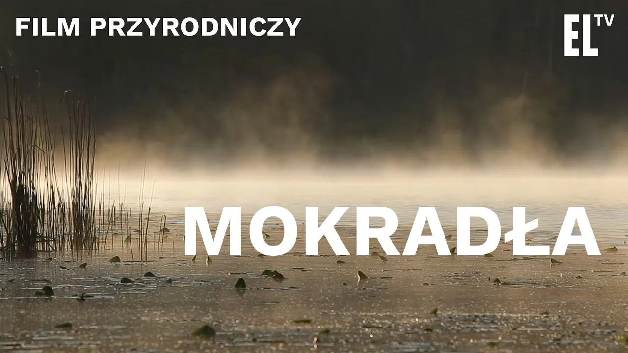 MOKRADŁA. Czyta Krystyna Czubówna