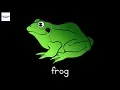Parts of the Frog - Montessori Zoology Presentation