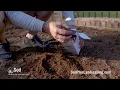 Sod Pros Landscaping Professional Sod Installation for Upstate of South Carolina