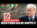 Download Lagu Western Economies Collapsing as 10 African Nations Ban Raw Exports!