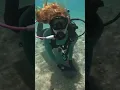 How to Scuba Dive at Blue Heron Bridge In 60 seconds