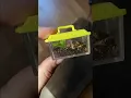 Making the world s SMALLEST tarantula enclosure