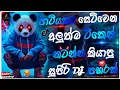 Download Lagu Trending Dj Nonstop 2025 | New Sinhala Song Dj Remix  2025 | Bass Boosted | Party Dance Dj Remix 