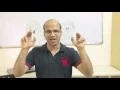 Will Google Replace Java With Swift for Android