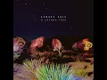 Buried a Lie (Live)