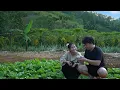 Download Lagu Love Connection - CEO Hung and Ly Tieu Ca work together