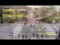 Splines 5 - More knots