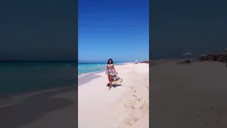 الفنانة هبة نور فيديو السيارة ذكاء اصطناعي 