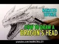 How to Draw a Dragon s Head Narrated Tutorial