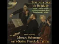 Piano Trio No. 3 in G Minor, Op. 110: III. Rasch (Remastered 2024)