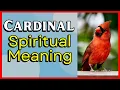 Cardinal Spiritual Meaning Why You re Seeing This Red Bird