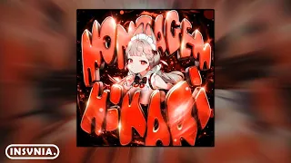 montagem hikari extended 