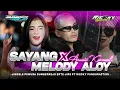 Lagu DJ SAYANG X MELODY ALOY SPESIAL COLLABORATION RIECKY FUNDURACTION WSB OFFICIAL VIRAL TIKTOK 