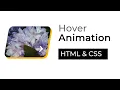 CSS Hover Animation Effects HTML CSS csPoint Web Designing Tutorials