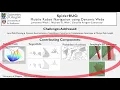 SpiderBUG Mobile Robot Navigation using Dynamic Webs