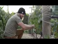 Interview With A Harvest Intern