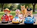 Download Lagu Mama Cat Trims Fur on the Farm and Makes Tiger Hat For Kittens At Home🐾🎩🐯