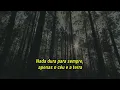 Download Lagu Kansas - Dust In The Wind (Legendado)
