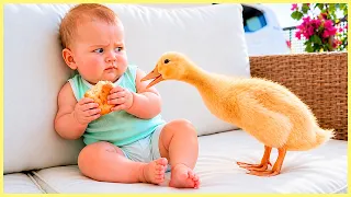 🔥 TOP Trending Funny Baby Videos - 1 Hour Compilation