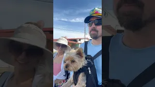 Fall in the Caribbean  #sailingbyefelicia ￼