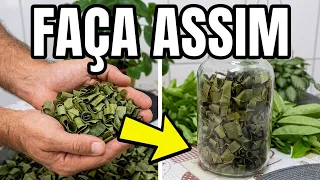 Aprenda a Secar, Desidratar Ervas Aromáticas e Medicinais - Graviola