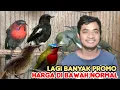 Download Lagu LAGI BANYAK PROMO HARGA DI BAWAH NORMAL 