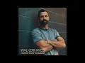 Walker Hayes - Drinking Songs (Official Audio)