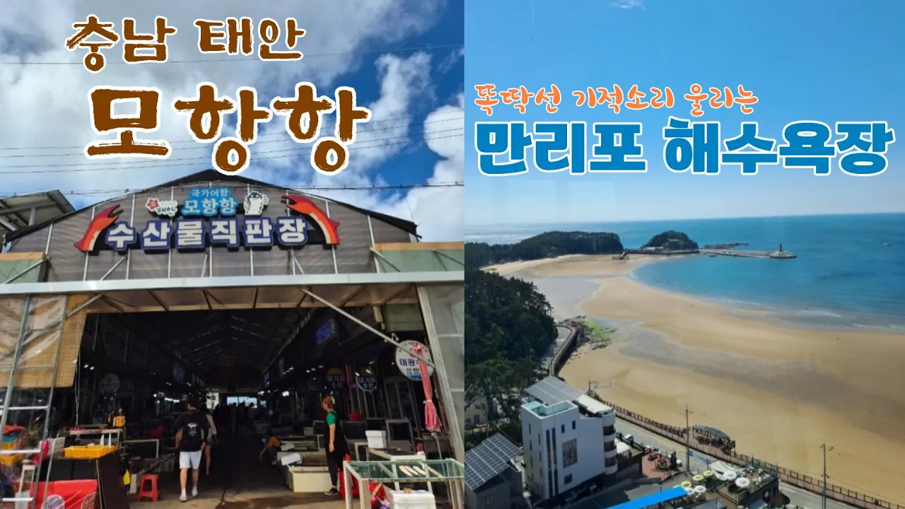 태안 모항항 수산물직판장 가성비 | 청청 만리포 해수욕장 | 차박 낚시 サムネイル