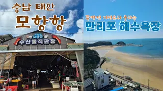 태안 모항항 수산물직판장 가성비 | 청청 만리포 해수욕장 | 차박 낚시 썸네일