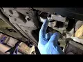 honda civic rear torque engine mount 8th gen