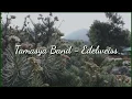 Download Lagu Lirik Lagu Tamasya Band - Edelweiss